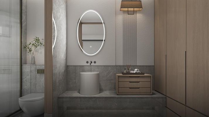 Mirror Cabinet Storage